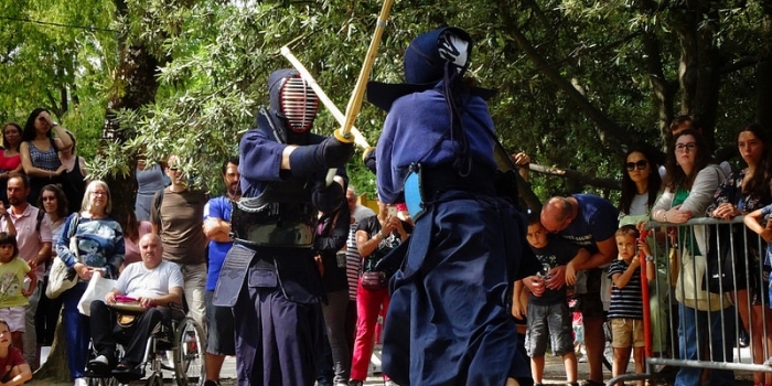La culture japonaise cÃ©lÃ©brÃ©e au cÅ“ur de Toulouse